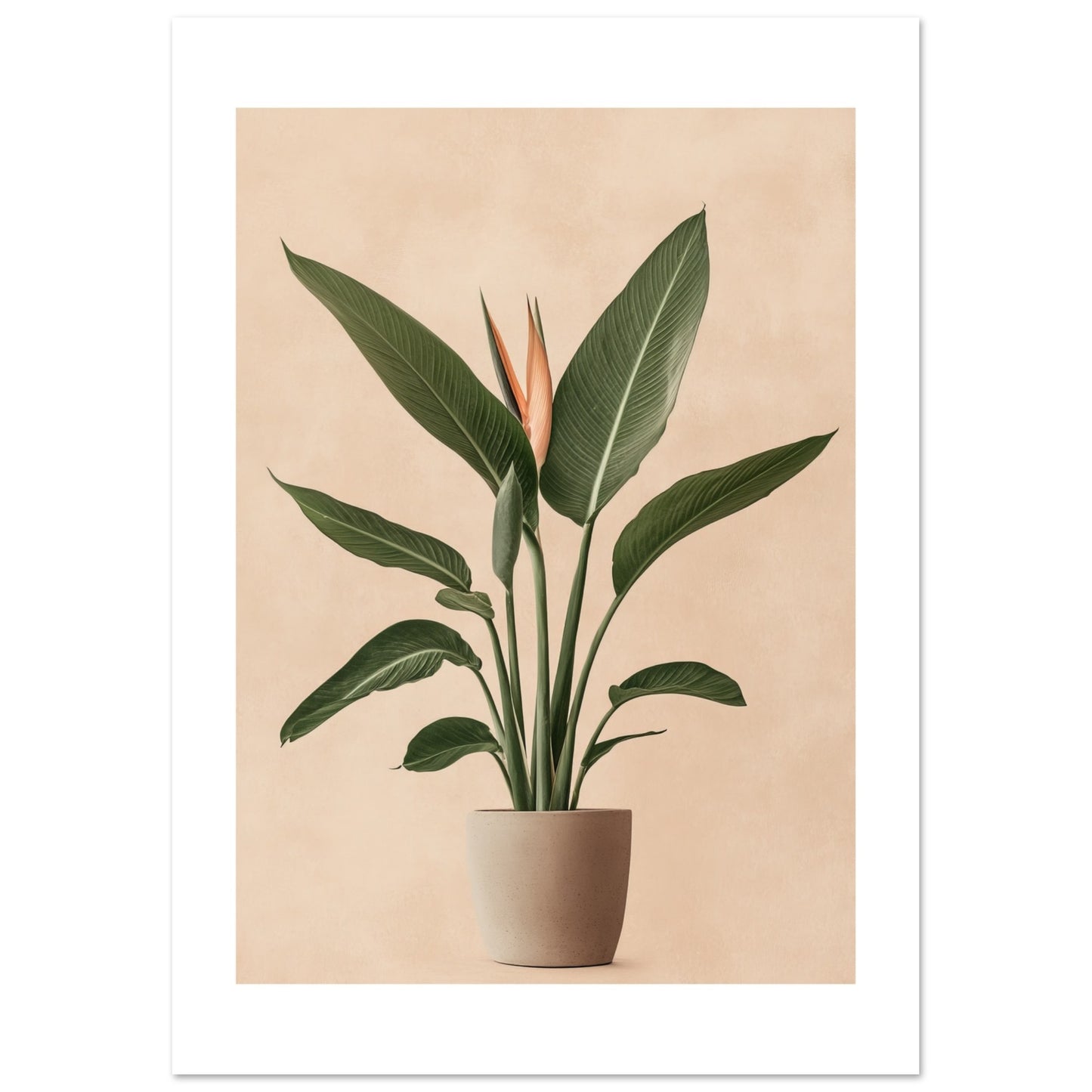 0005b8a2-62fc-4459-8f13-f79295020d1f