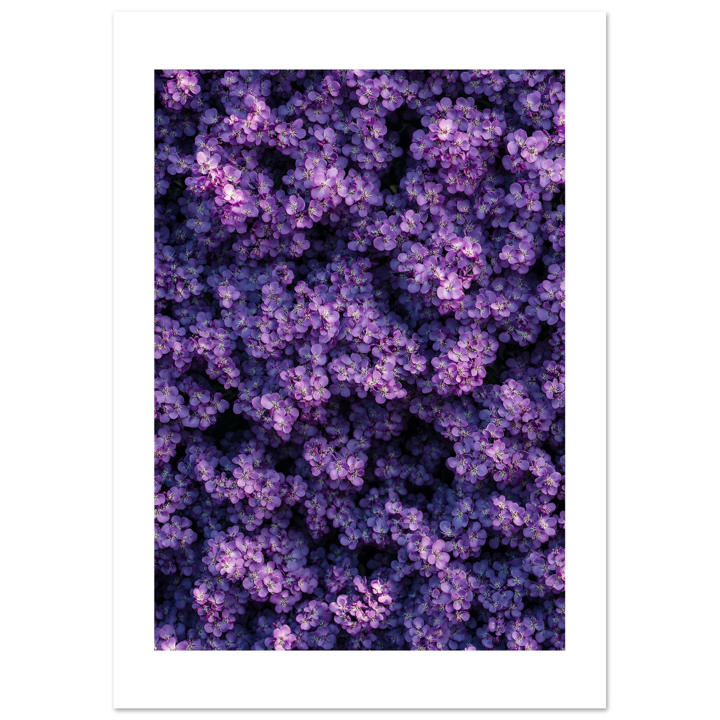 051695bc-ada3-454e-9e91-dd53f20dbb96