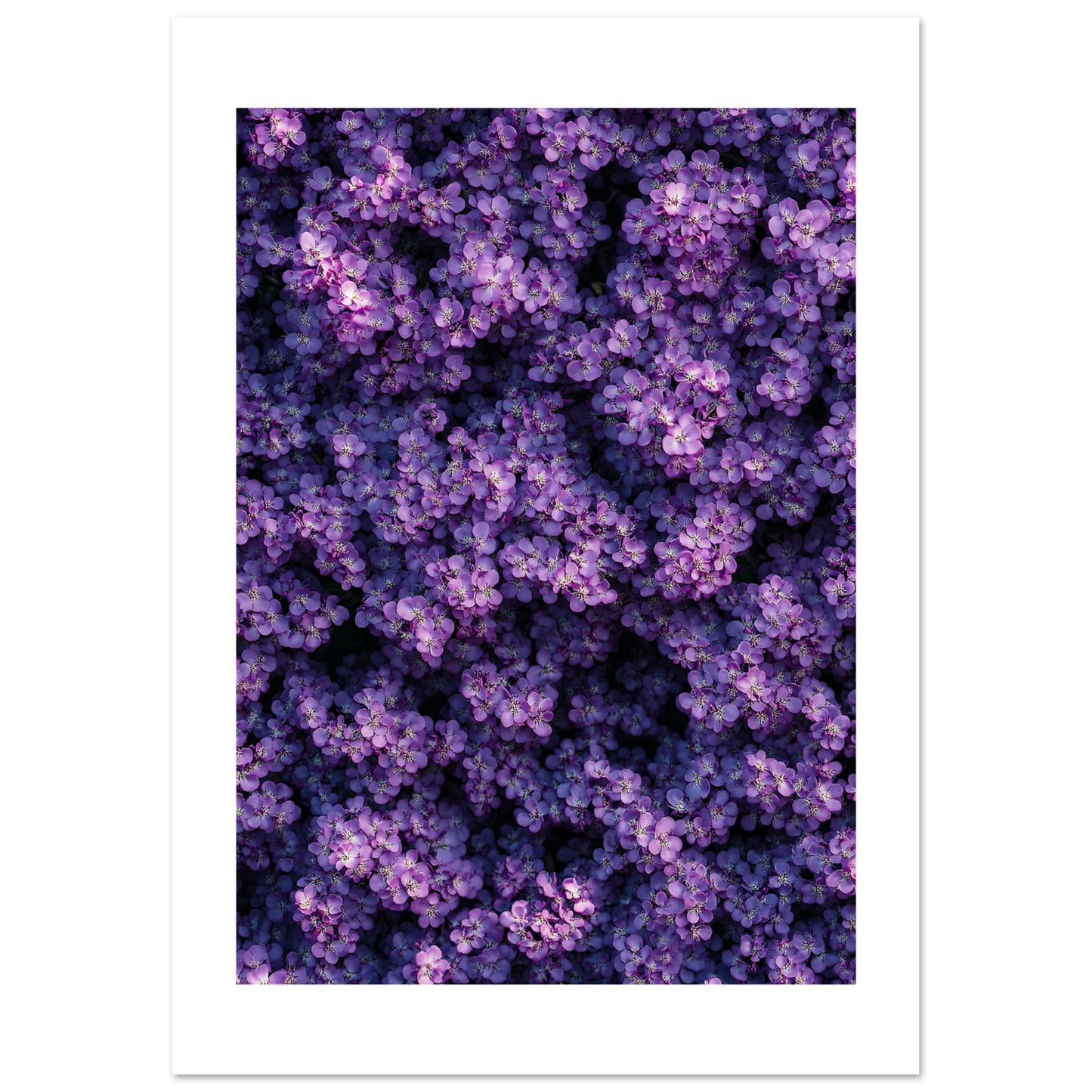 079cdc51-8e80-4f08-9b1c-8b436ce9bbb0