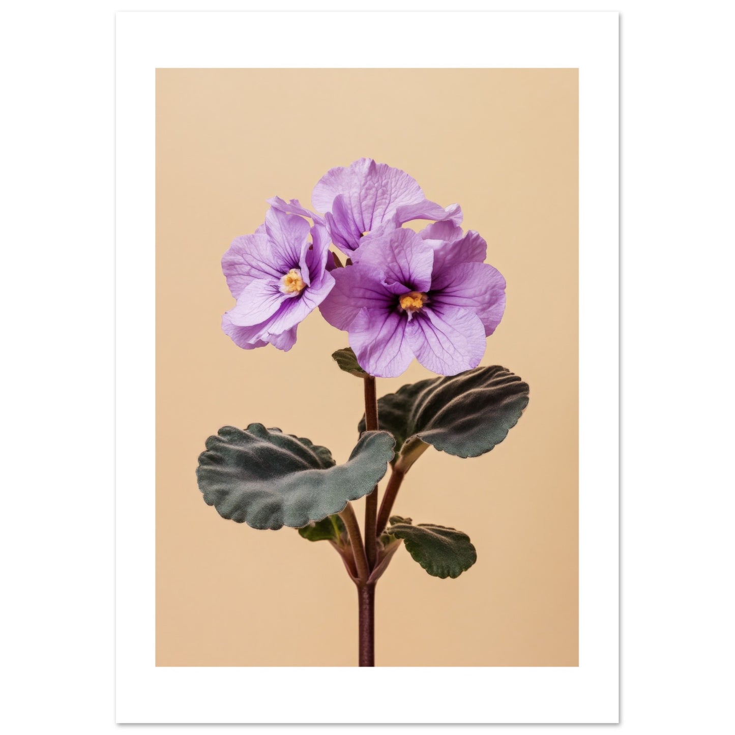 0adeb044-ecfb-4660-bb95-4addd3d0208a