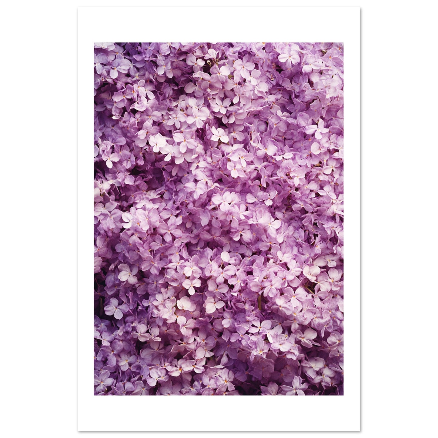 0cc2f32b-c22d-43ae-9b0f-68c678967b4e