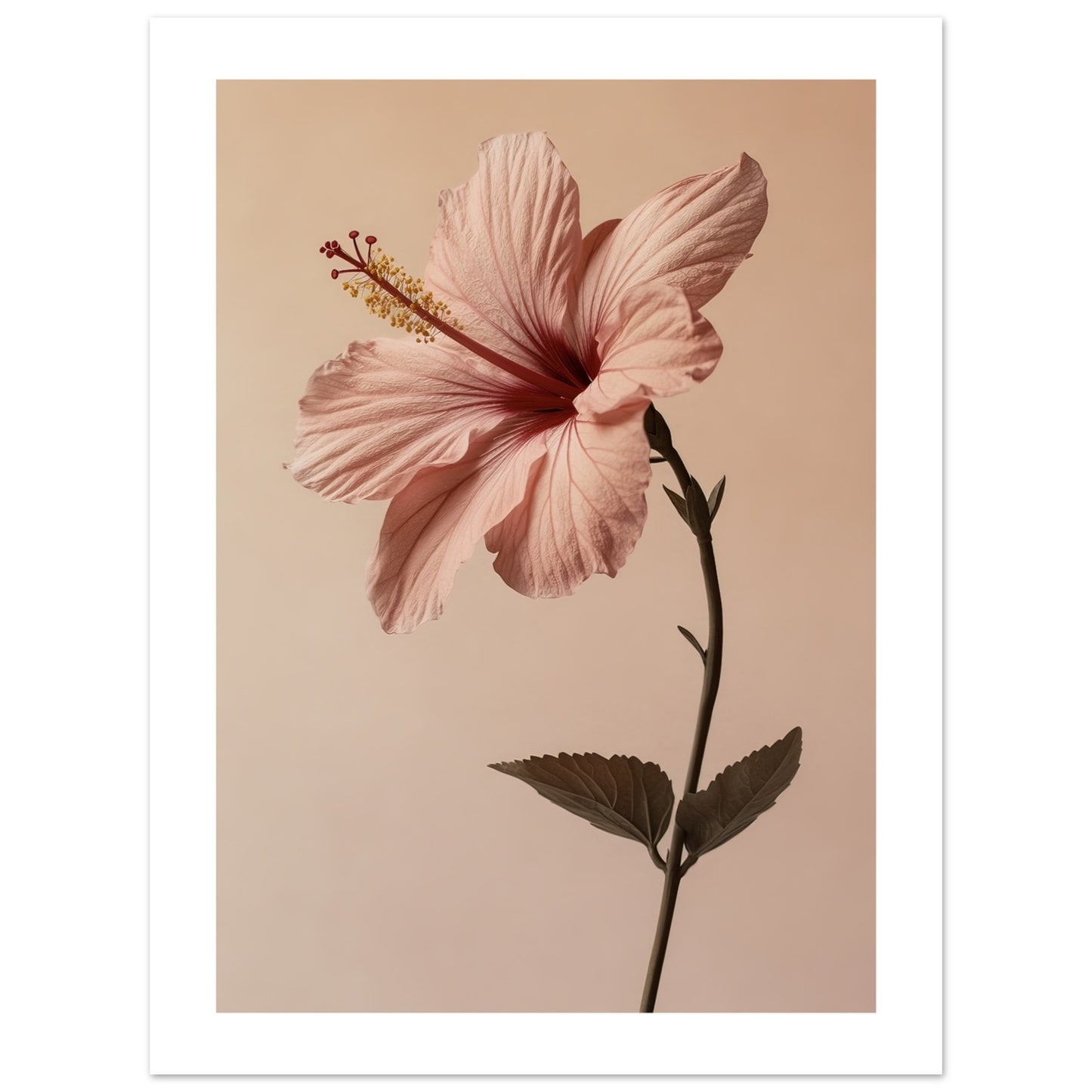 0e0bae3d-08a5-4260-9904-6bf19b440f2f