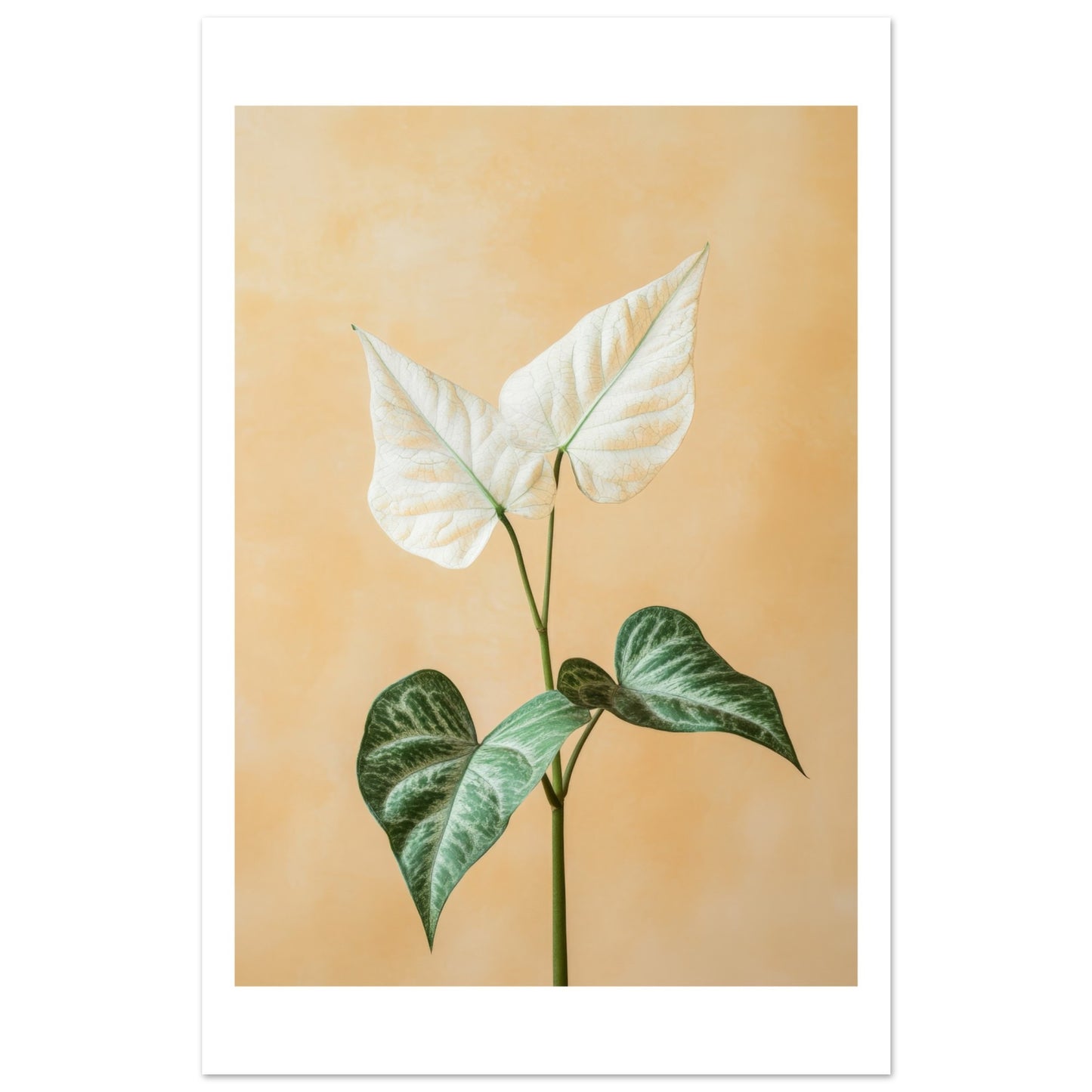 0e5b1e24-b4dd-4a55-ae7d-9f11f200d1e4