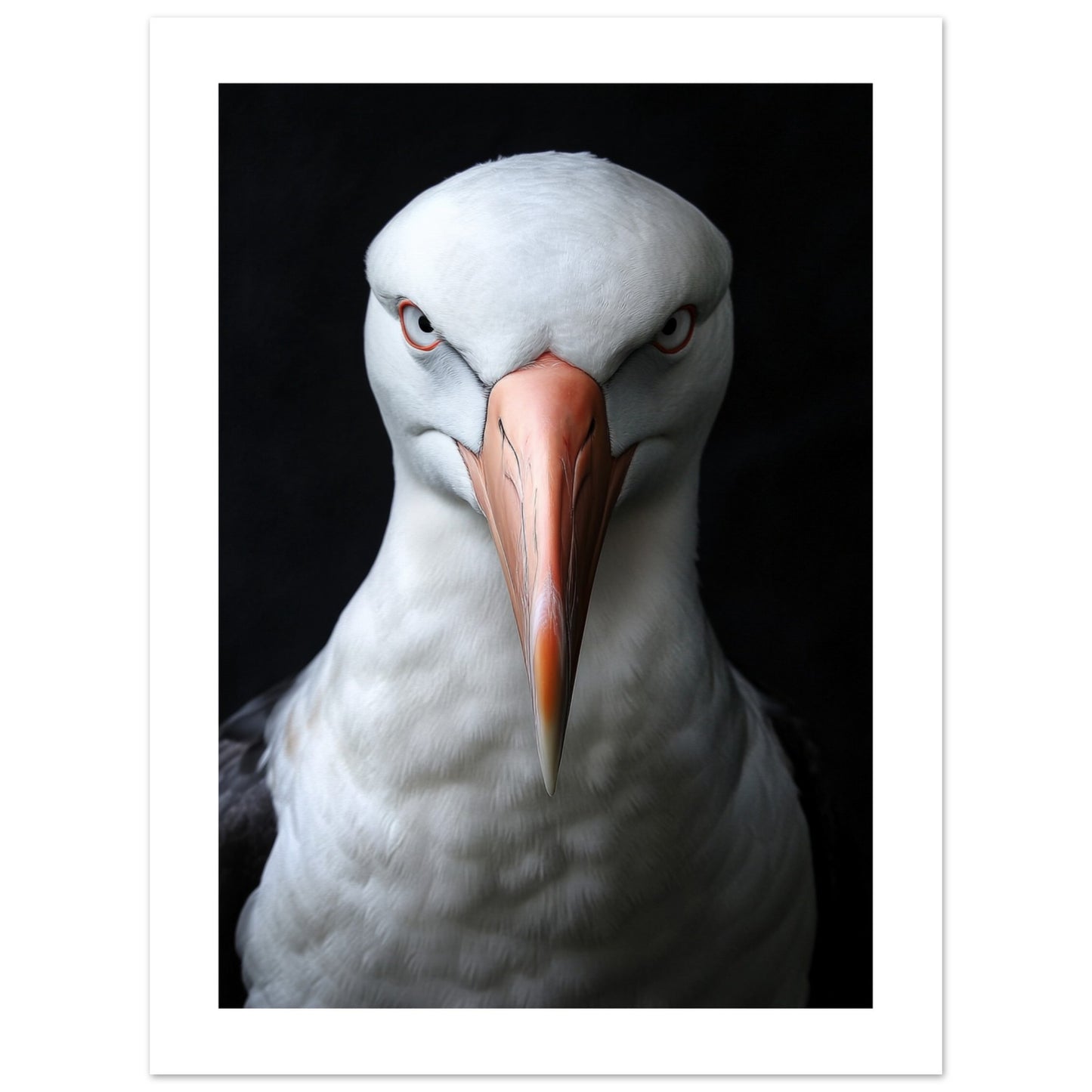 31e6bbfa-fb23-467d-81c1-2cd03ea23d20