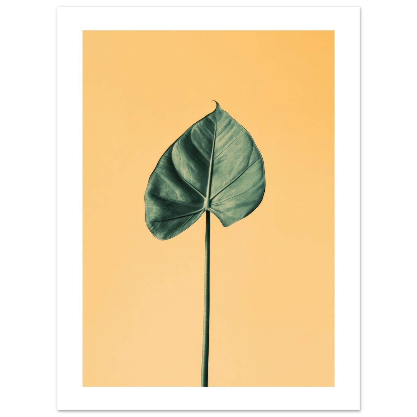 32848d0e-7d14-4939-84e6-68a45325d5da