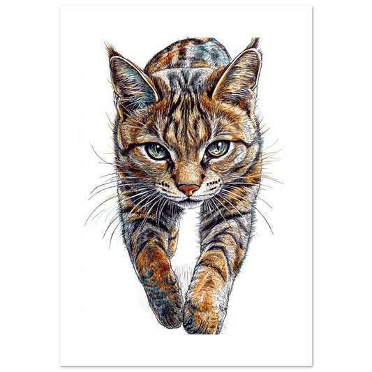 3c2deb30-41cd-4670-9aa0-d2ed9702b034