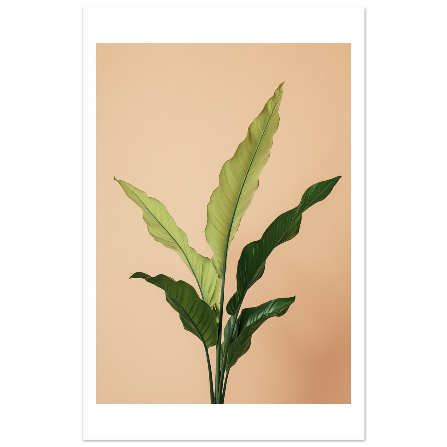 509d129d-4ad7-4b99-babf-89476d80bc0f