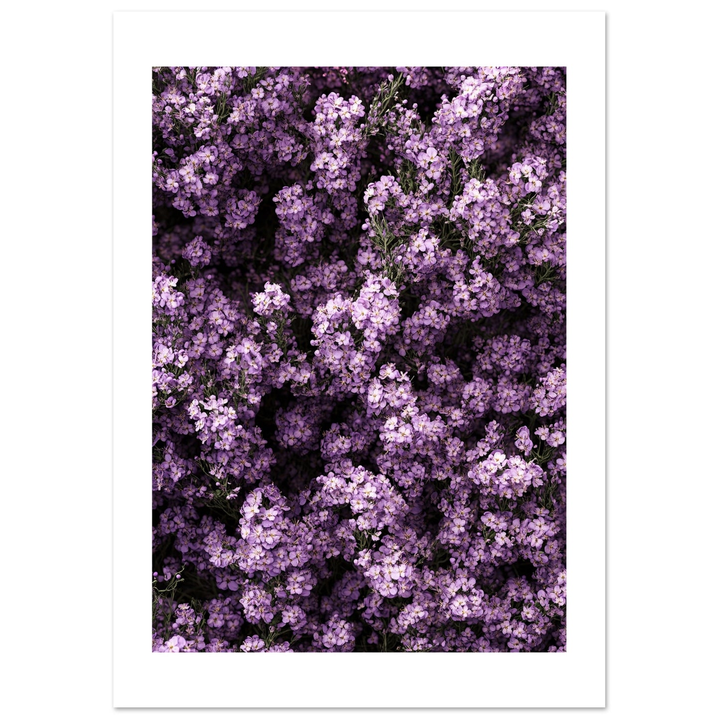 50c12d59-a716-44f4-b2fd-d338ce3093f6