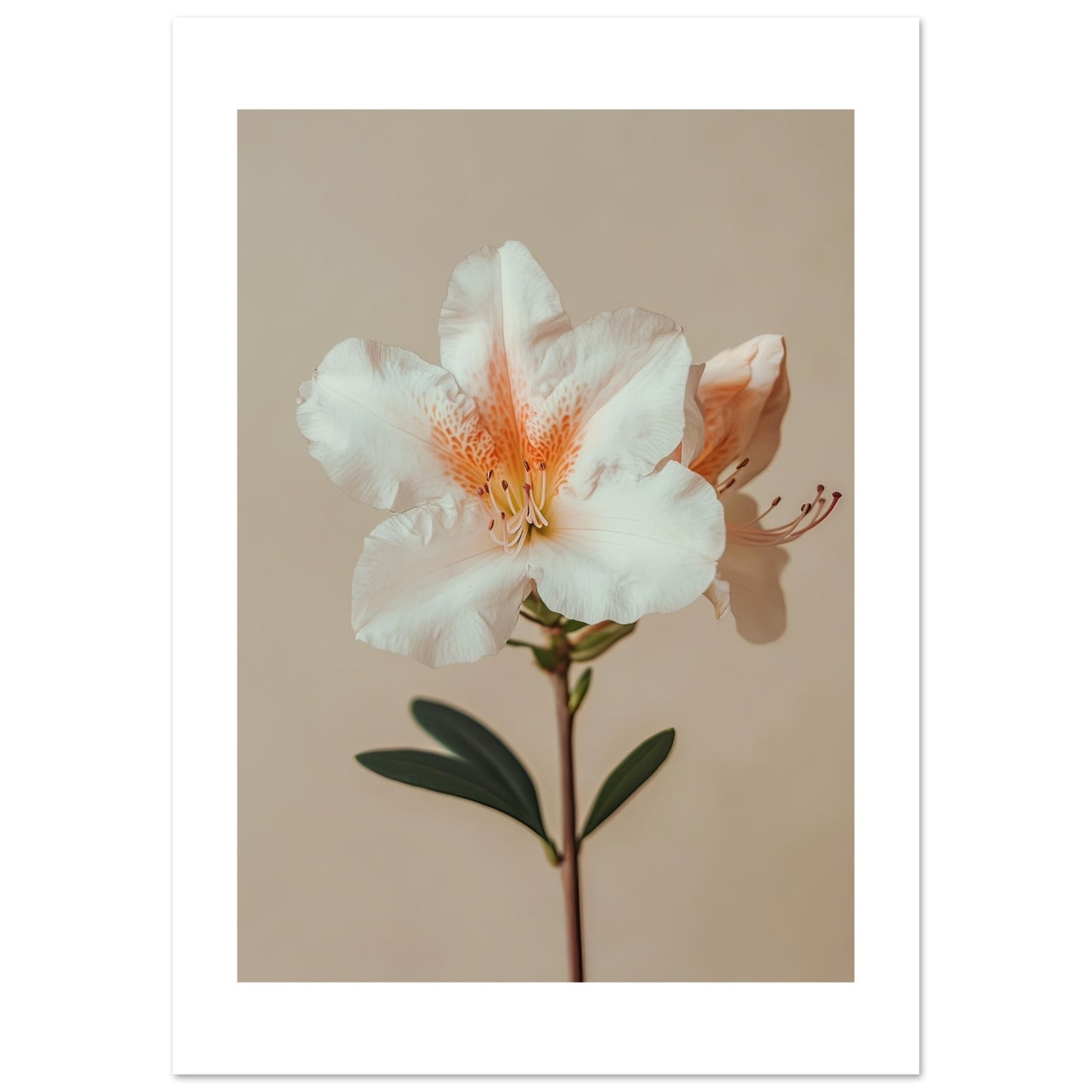 5a7f4f93-6359-447c-910a-fcd41bcf1b89