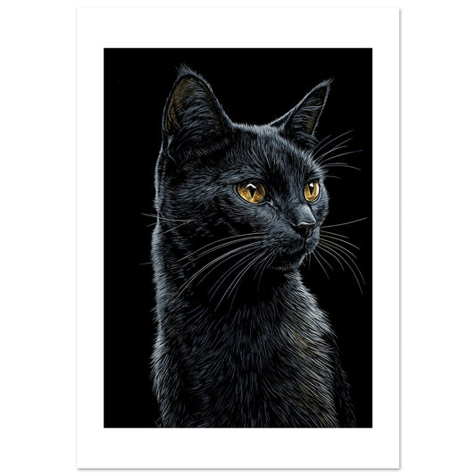 5e63544e-ffc0-47b5-833b-26917449d8f3