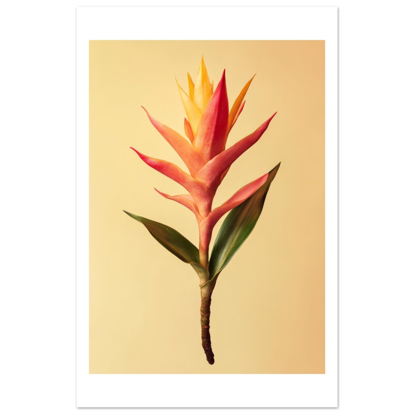 6400e171-1b88-4a62-b132-ba6650a0539b