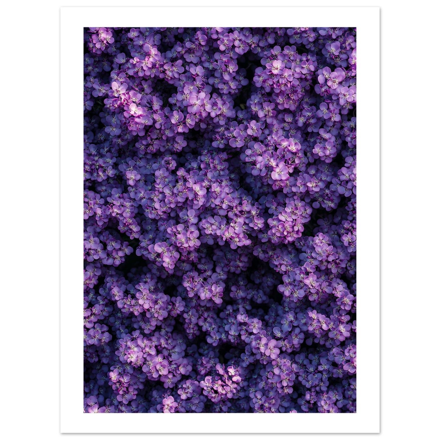 67e1deb9-1801-4a62-8e8a-ec2d762f3cb9