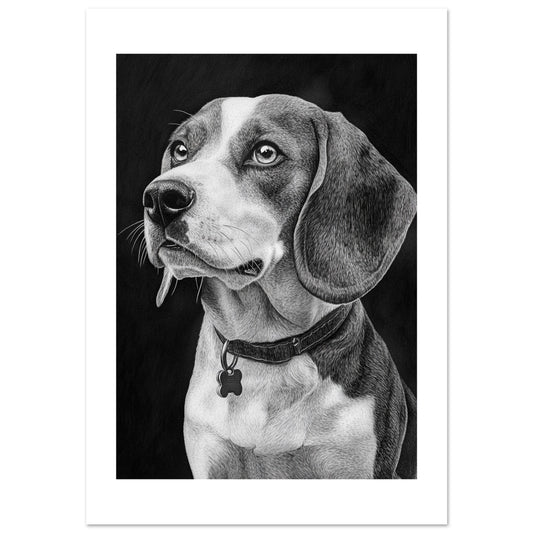 Beagle poster