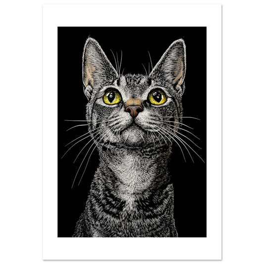 6f394e42-a7d1-4b8a-9bd3-3ea8d38b7f2d