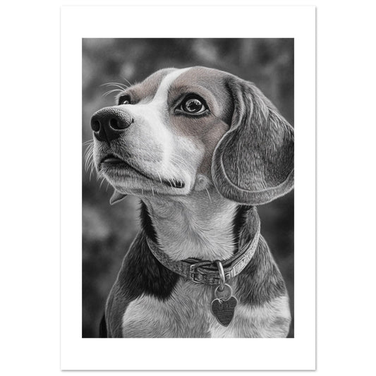 Beagel dog poster
