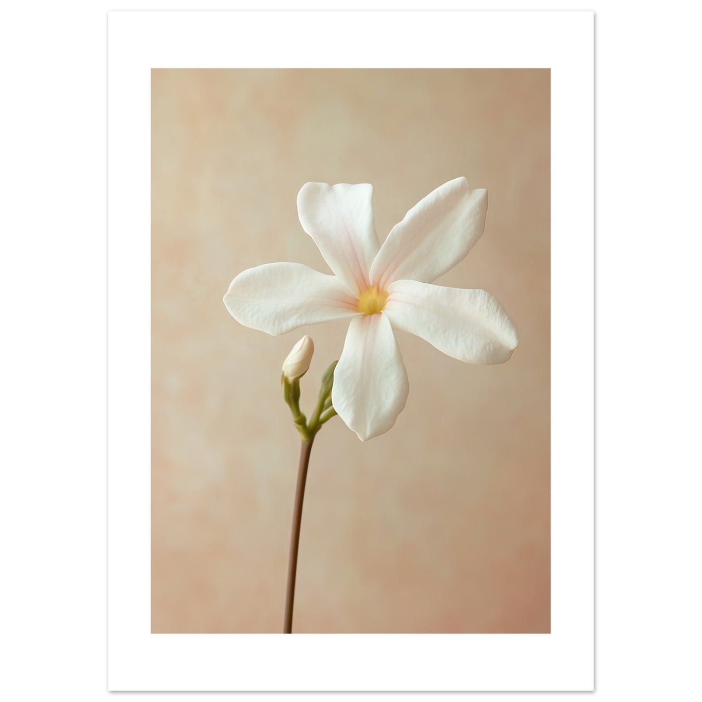 73b8478b-171b-4a60-9d70-bde9c97323c3