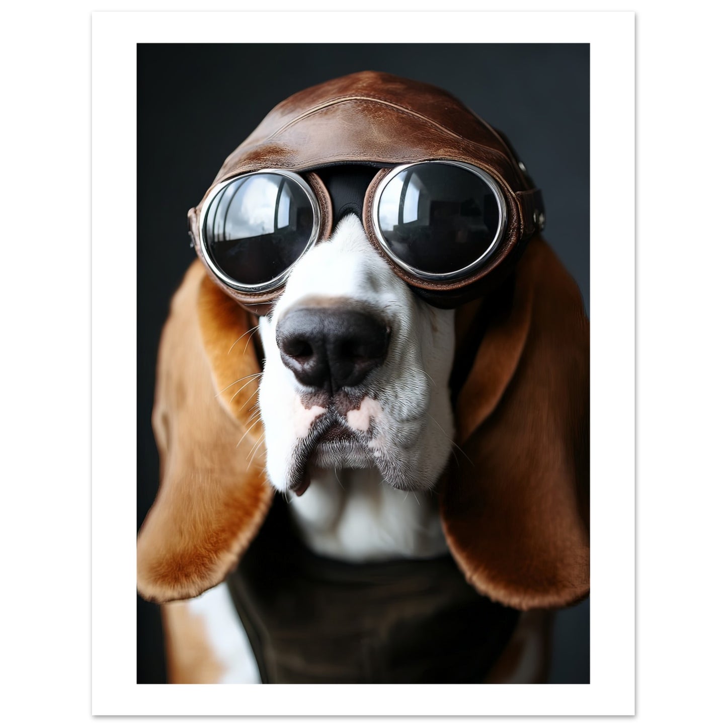 74037317-c7b7-4382-9c53-1f5cbb1fea12