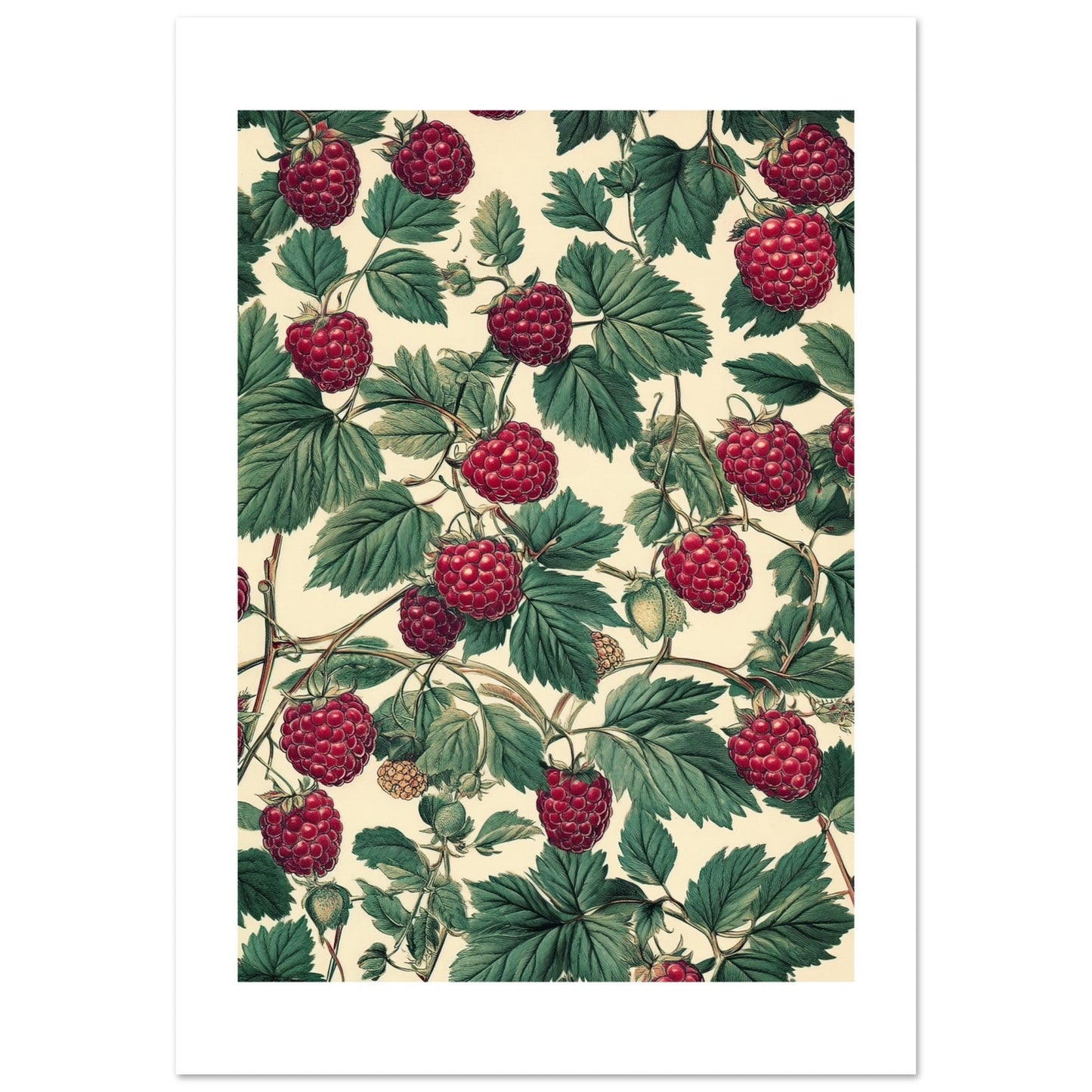 A pattern of Rasberries 1