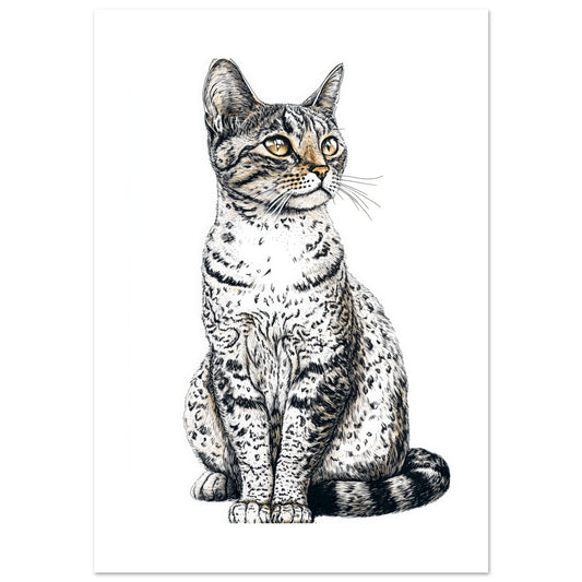 85186daa-0223-40bc-9168-216dae783c6a