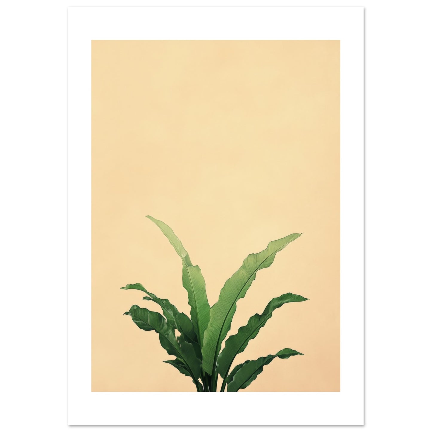 8b47b6e7-ff4a-48a9-b656-0b7fce62c107