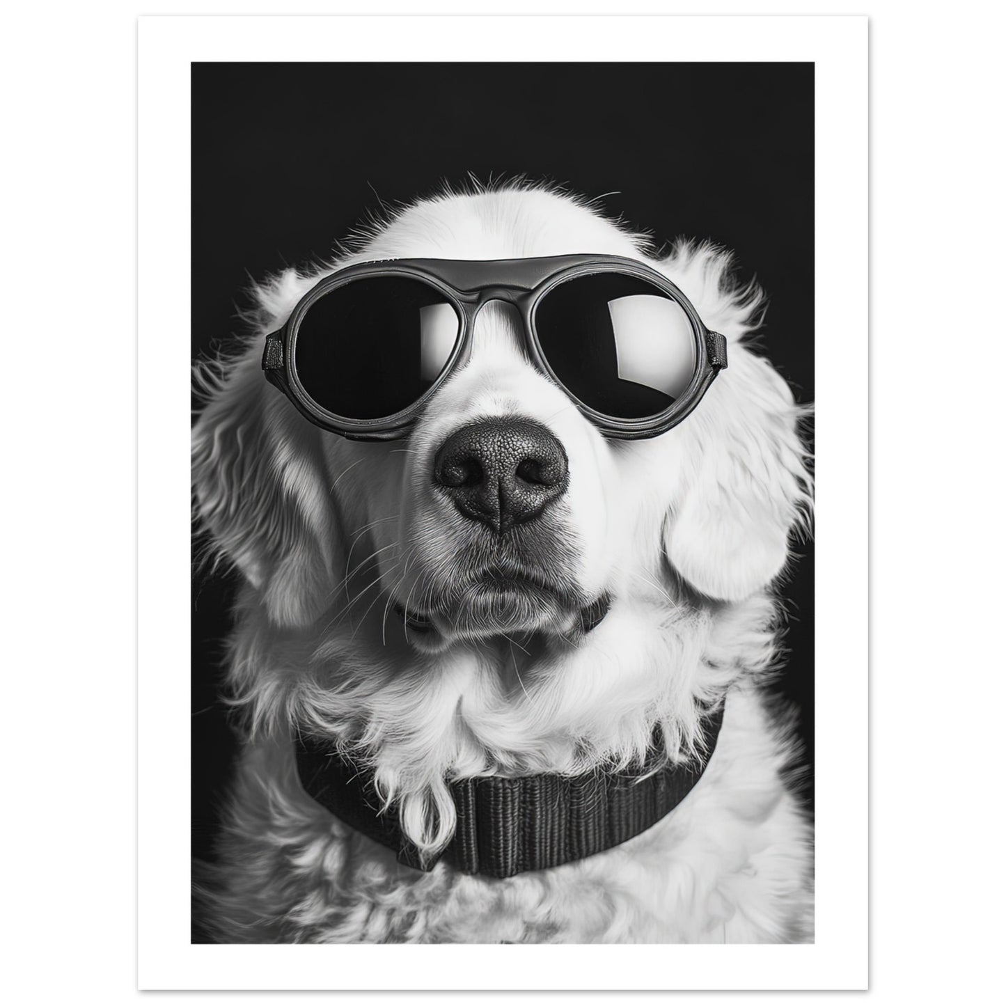 964460bf-87dc-4cc0-9517-7aaa811533be