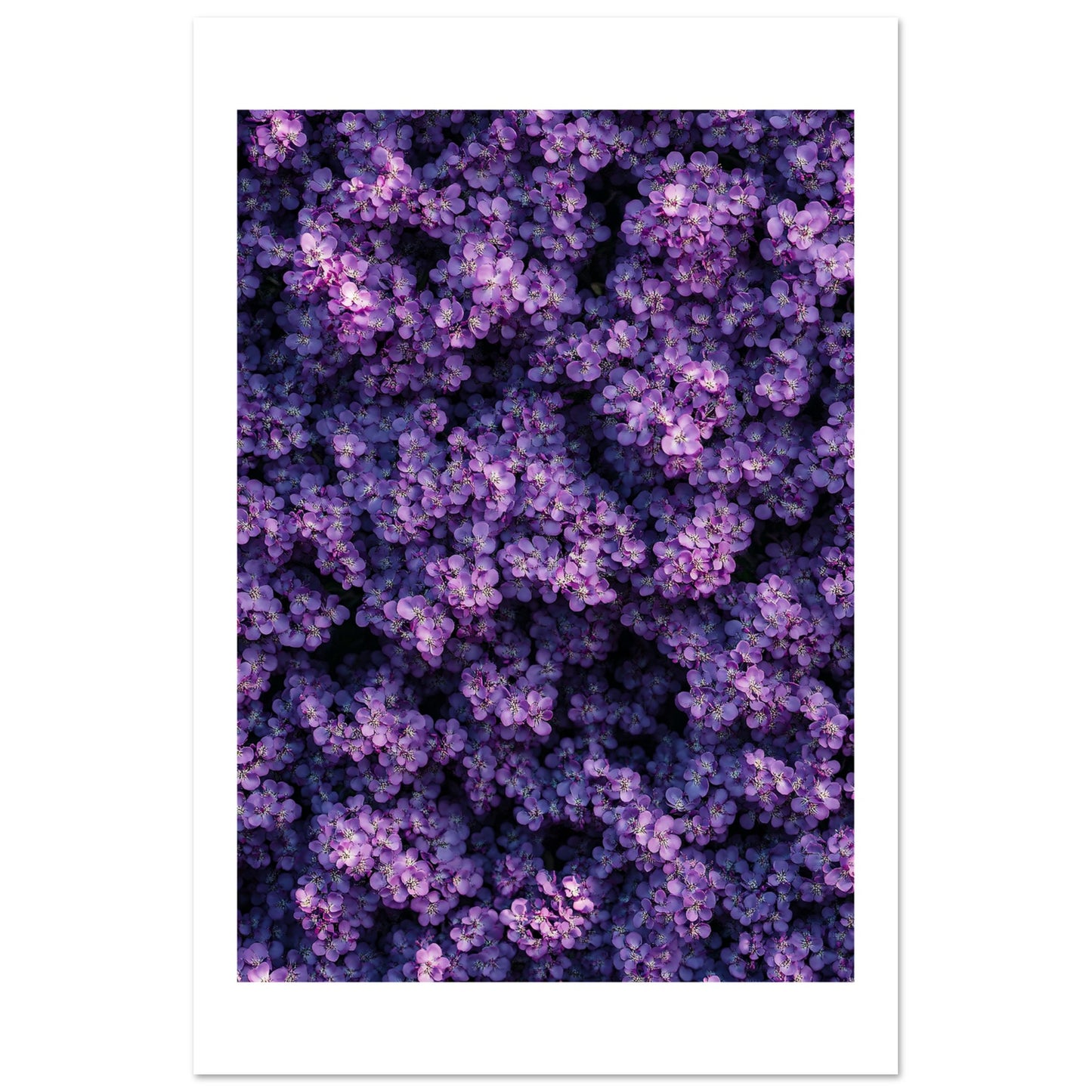 9a082efa-8cd9-4612-a528-7ff2e9653e54
