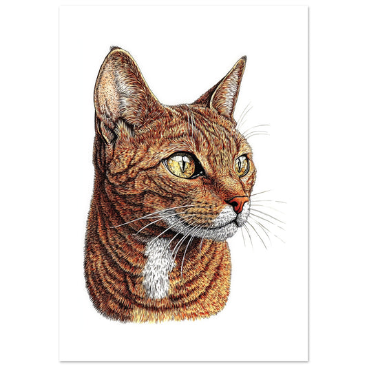 9d457d4b-07d2-4fc2-886c-89fbe265d66c