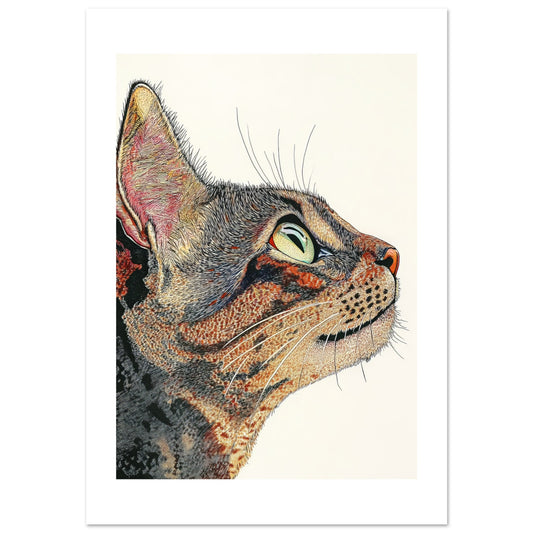 9dacdc36-eda5-415b-b8af-ed57ccf49dac