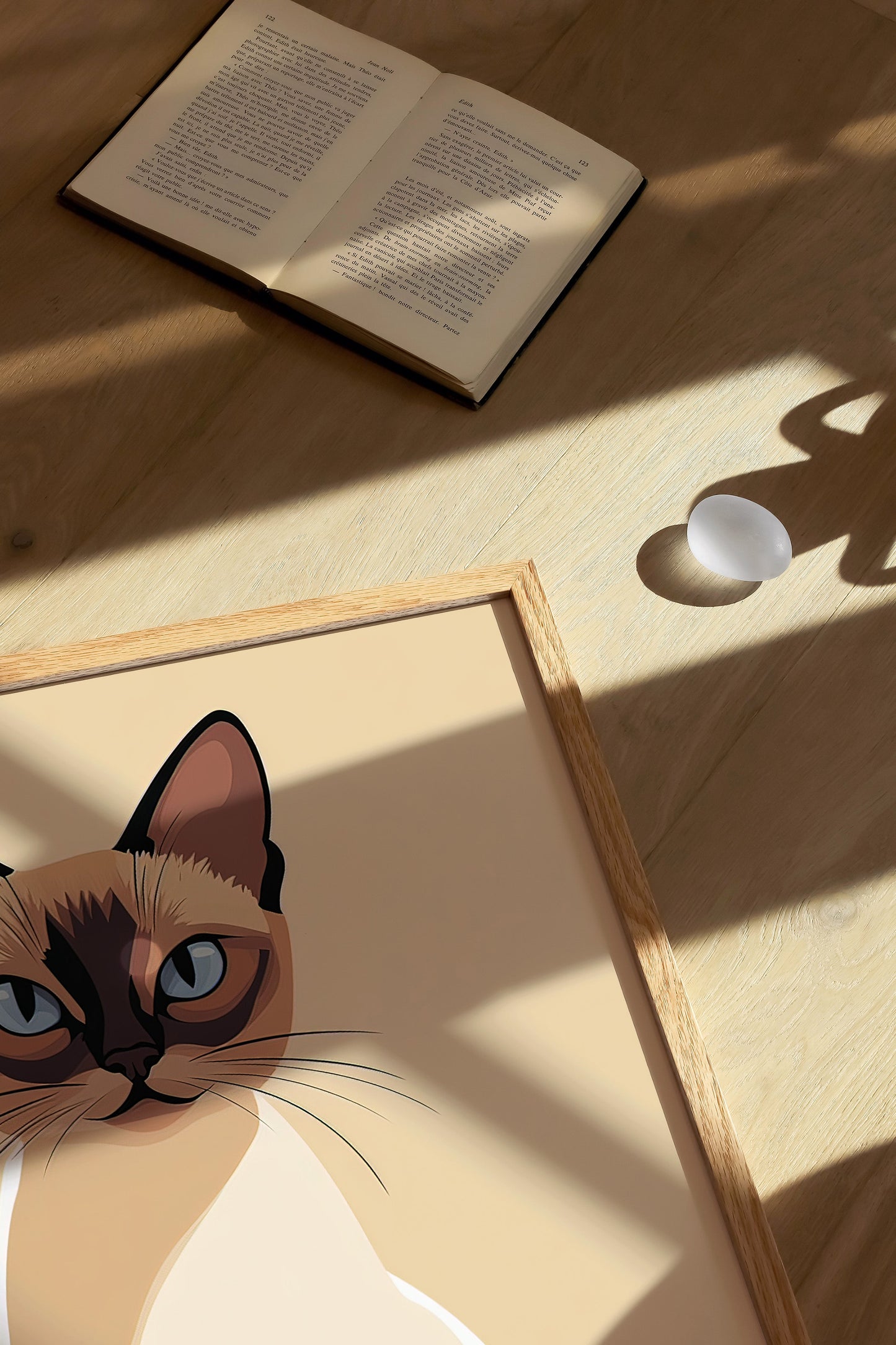 Illustration of a Tonkinese cat
