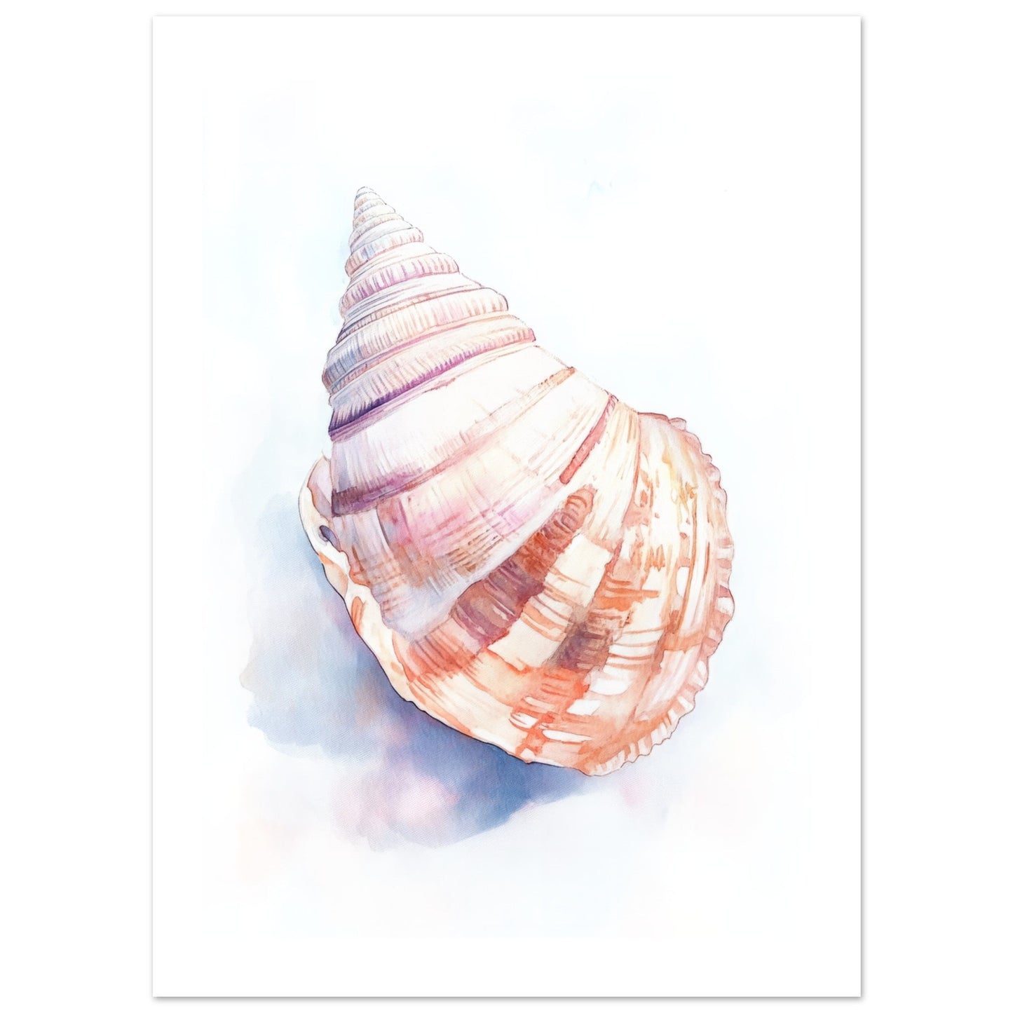Kids Poster - Seashell As A Colorful Painting