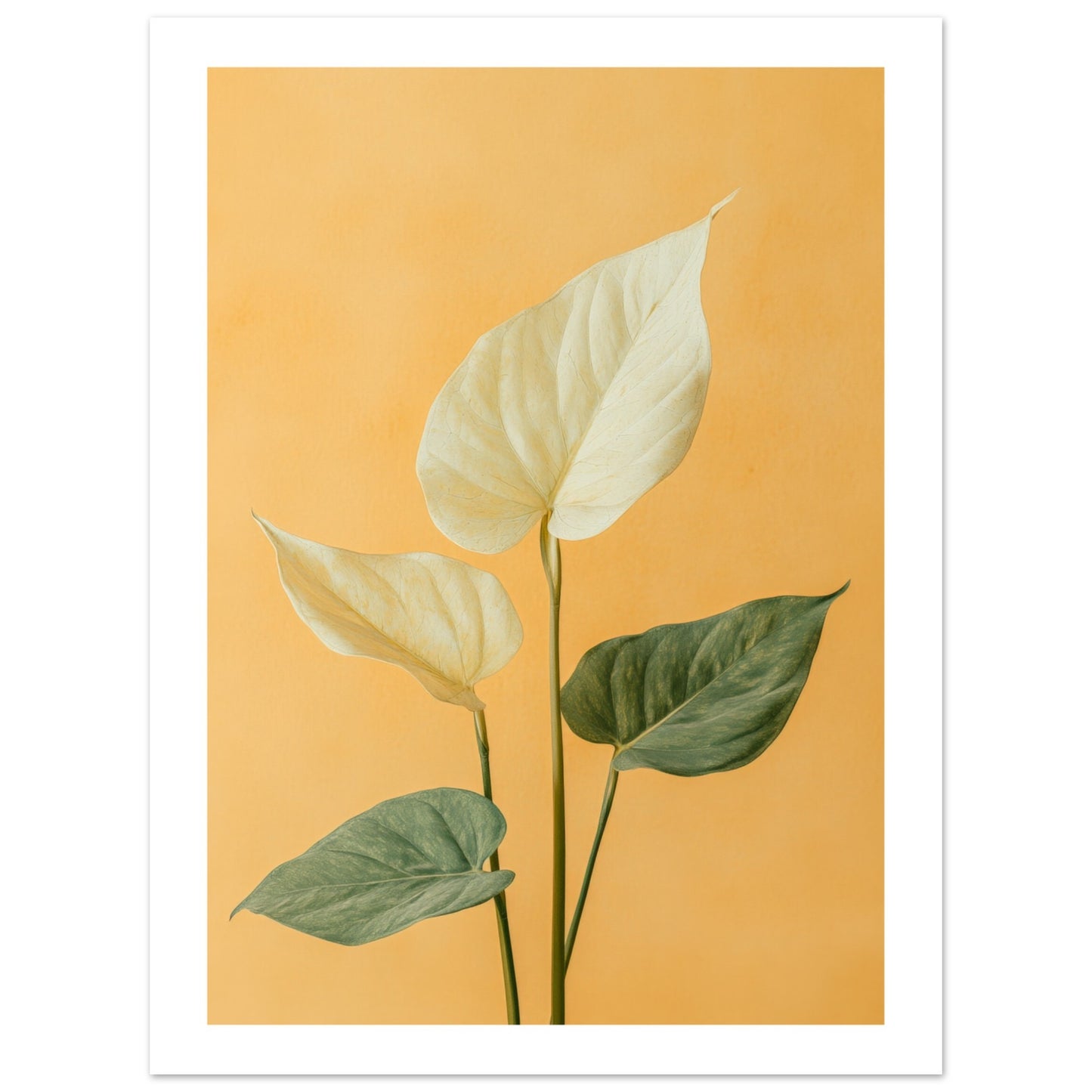 a1a9d263-055c-4ec0-8bcb-6ae5eb0957c3