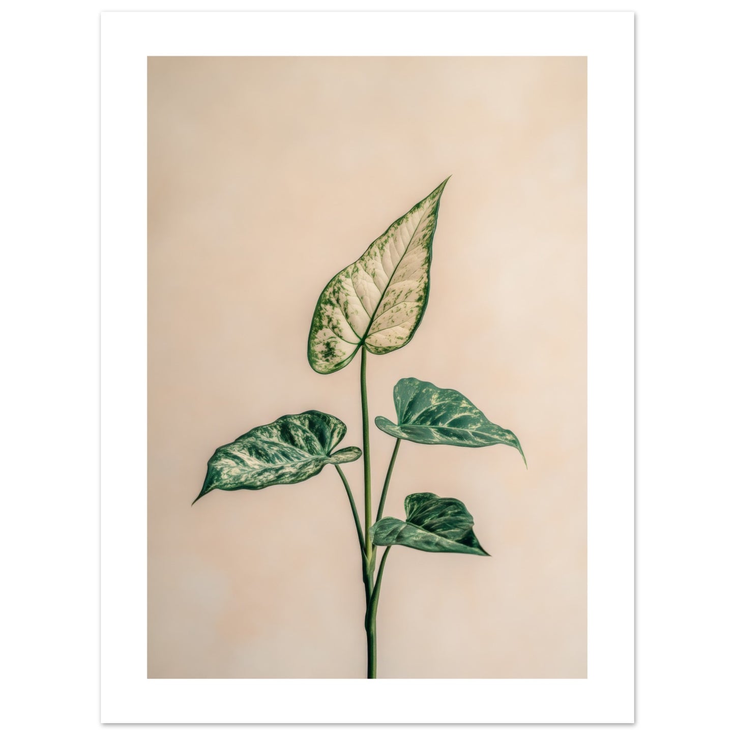 a892424b-f201-4220-b0f0-7f48c60bdee2