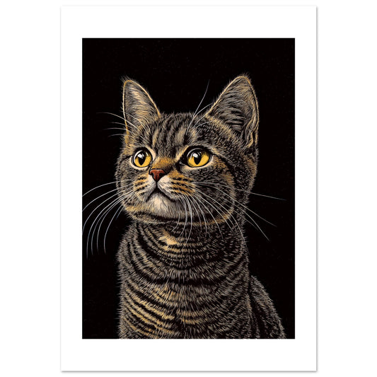 b134abde-880b-4972-ae48-ece5f9c1c926