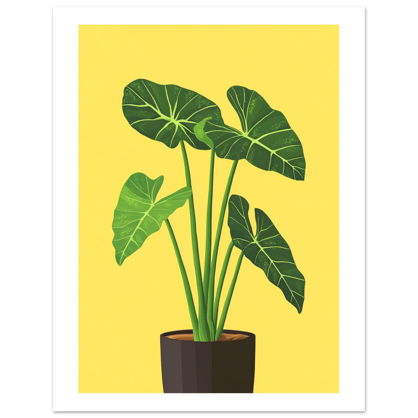 b2ec863c-6ed8-48a2-8d3d-905e3b7f97d4