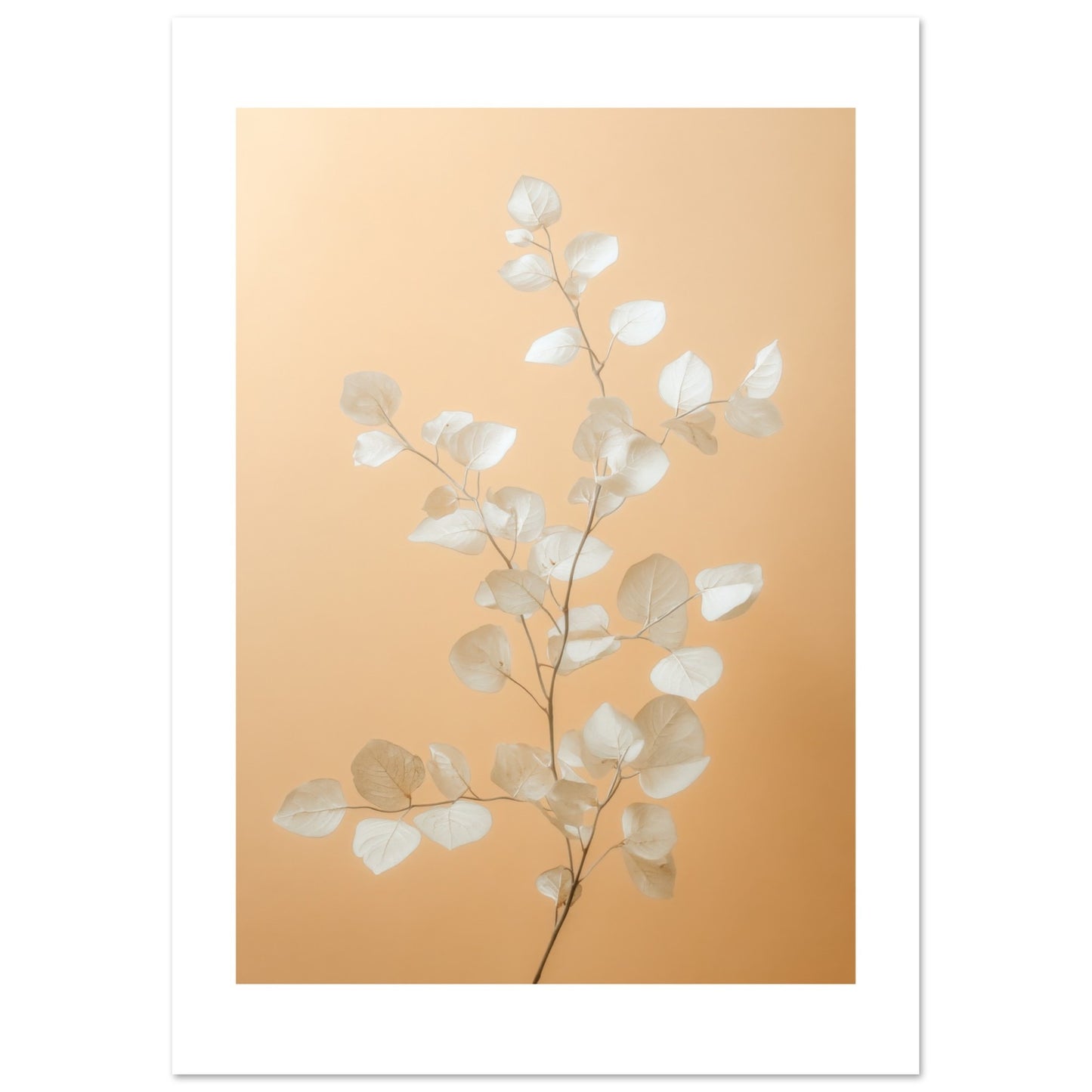 b8d0a775-5ea7-4ca6-8a08-aede528e2568