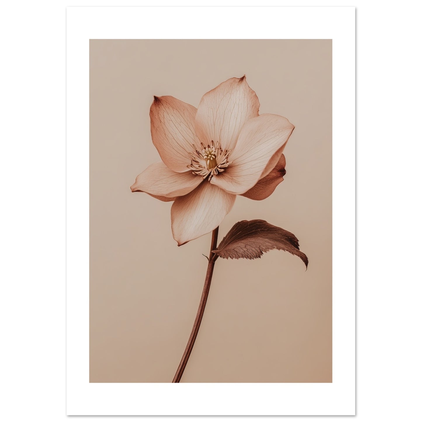 ba76dd9c-a2fa-40f8-9393-18673dfd26a0