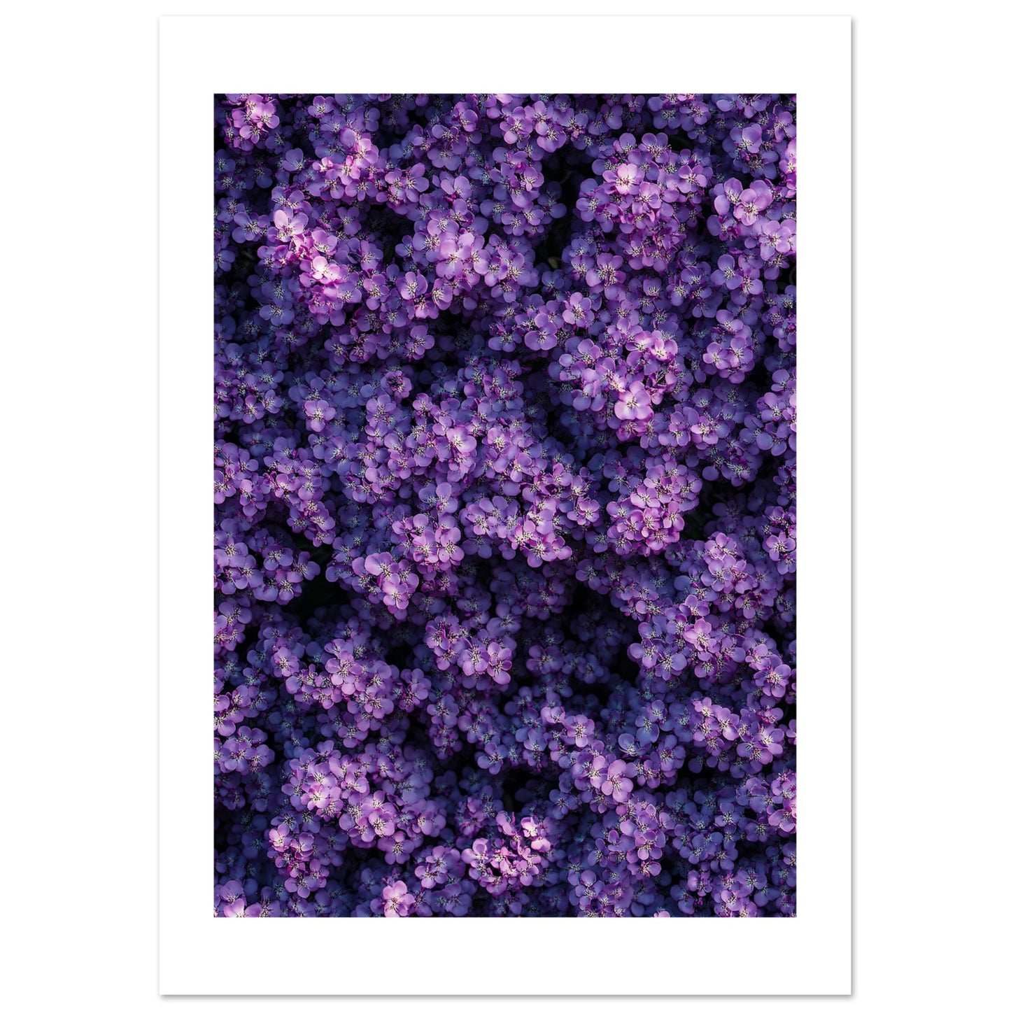 c26ce560-9d24-4354-a30d-c591277f3c16