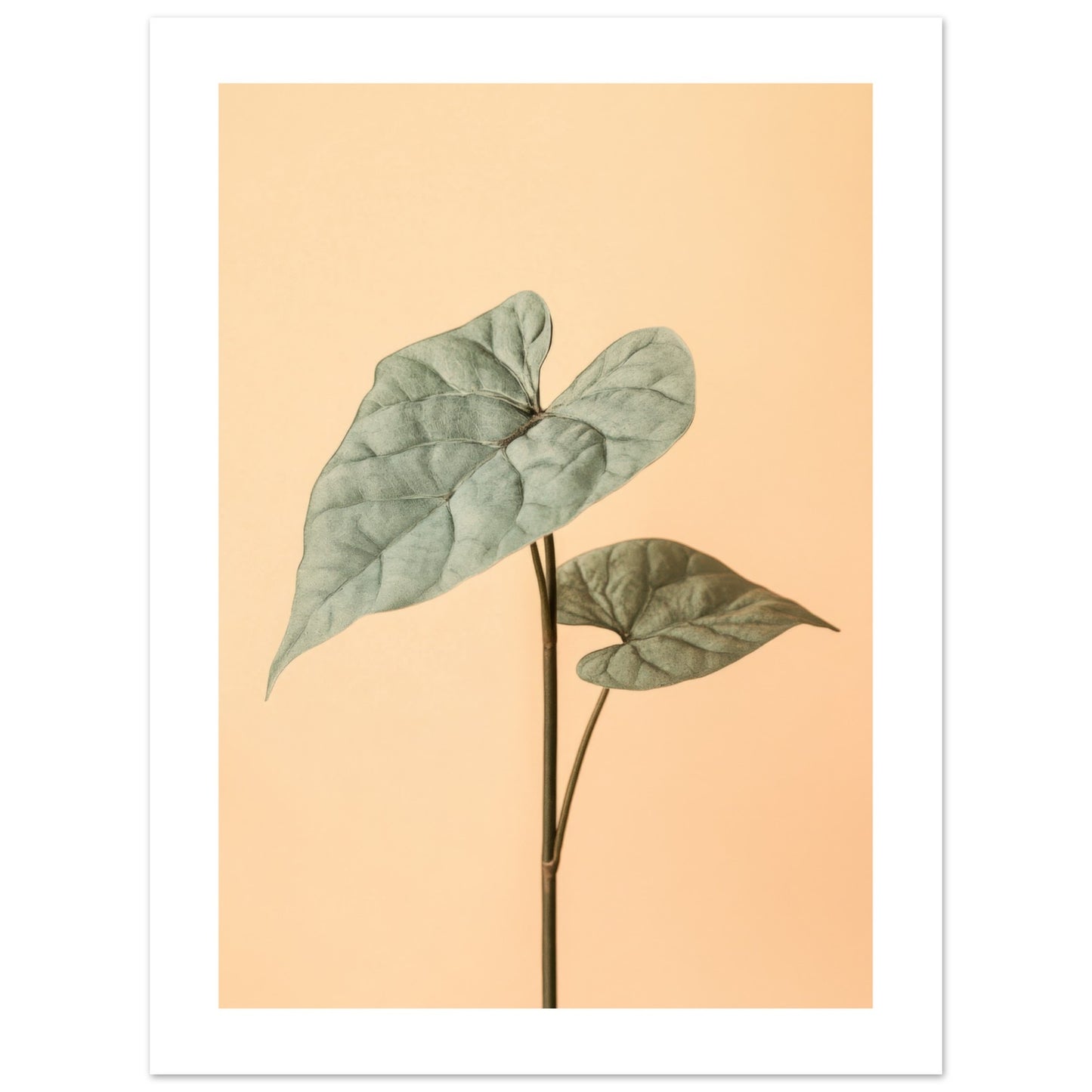 c2f6b2ff-4ac6-4e95-887b-8e07e6563e72