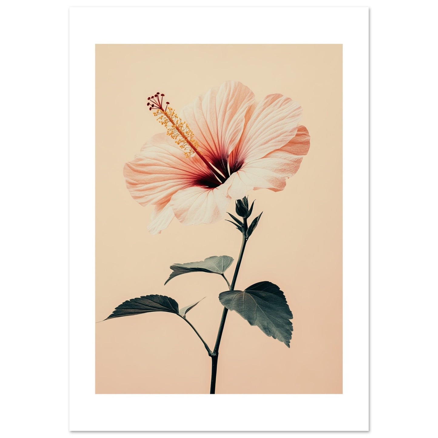 c65448b9-4dd4-4ae8-8782-01d510ed230d