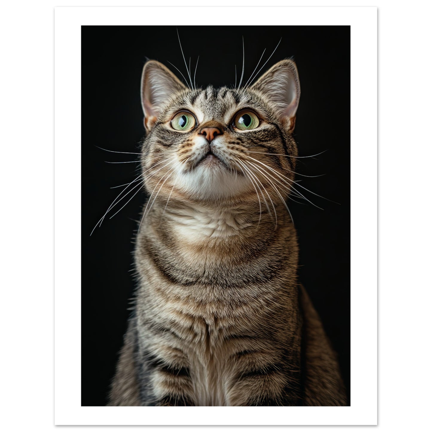 c69f9b88-6ba1-44cf-b4cc-f16589b82b2b