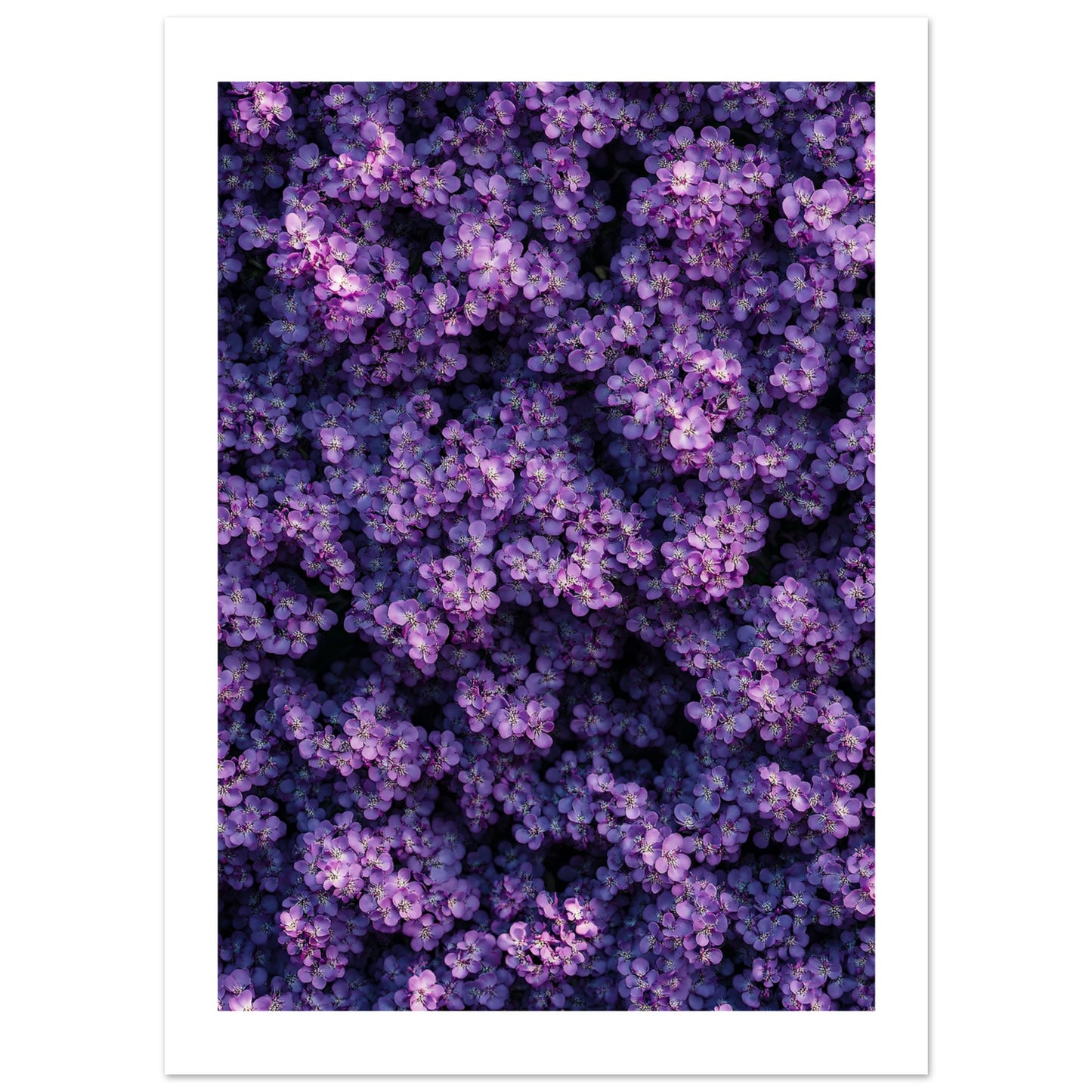 ca967f4b-ad96-41e3-b67e-3f47adfd2fa8
