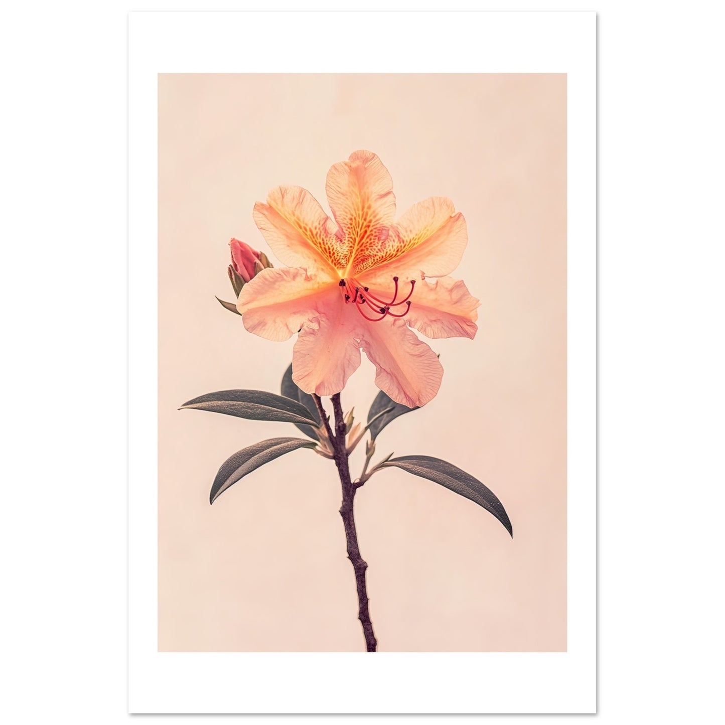 cf378b23-85b0-4df7-9f77-03f534799505