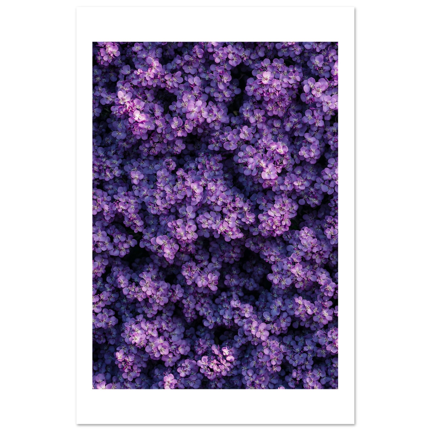 d0c3d3e4-78eb-4f1c-aad9-6211782f7406