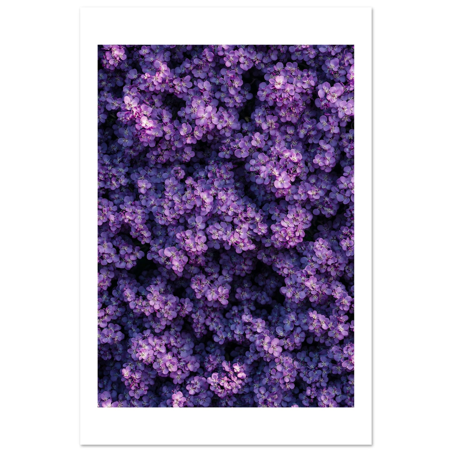 dc839506-d3f4-4a64-a845-2c1c0134a5e2