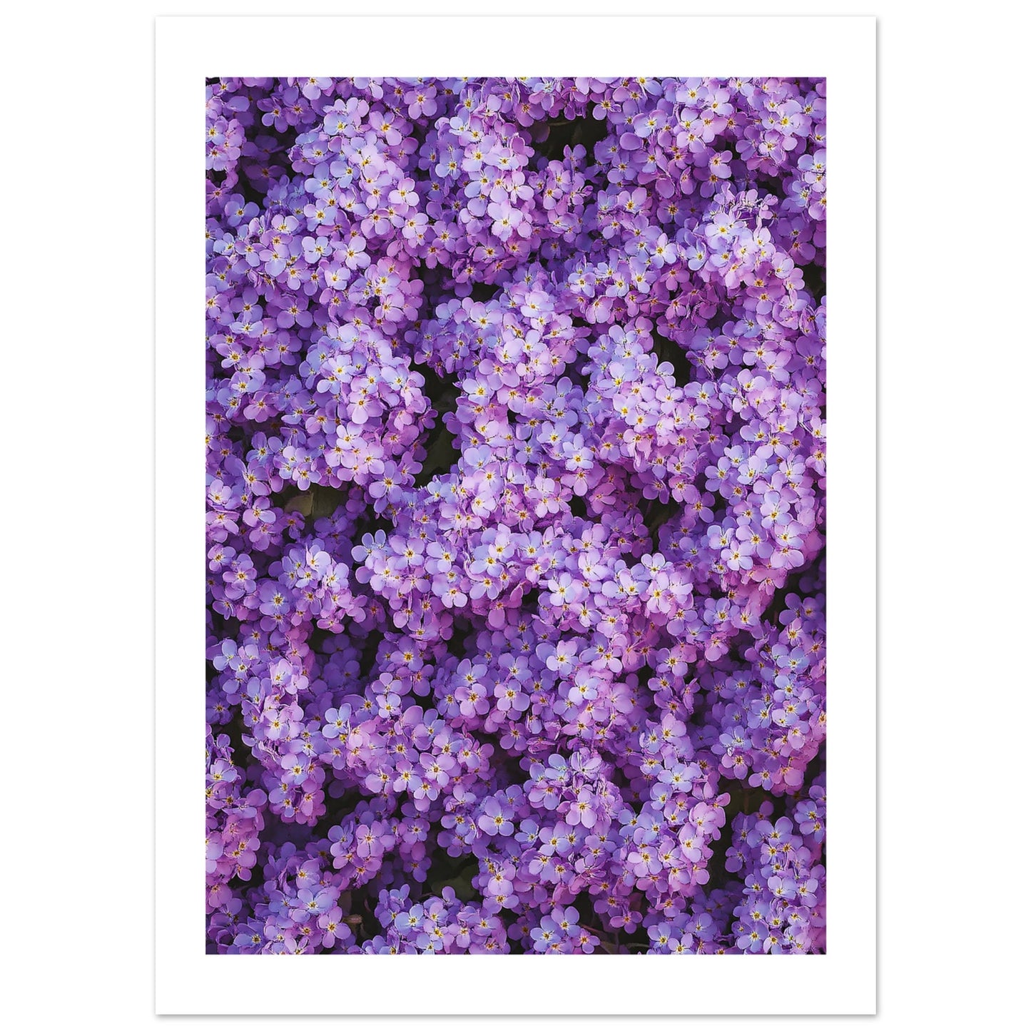 e53278bc-335f-45b4-9f57-2d9f1125019c