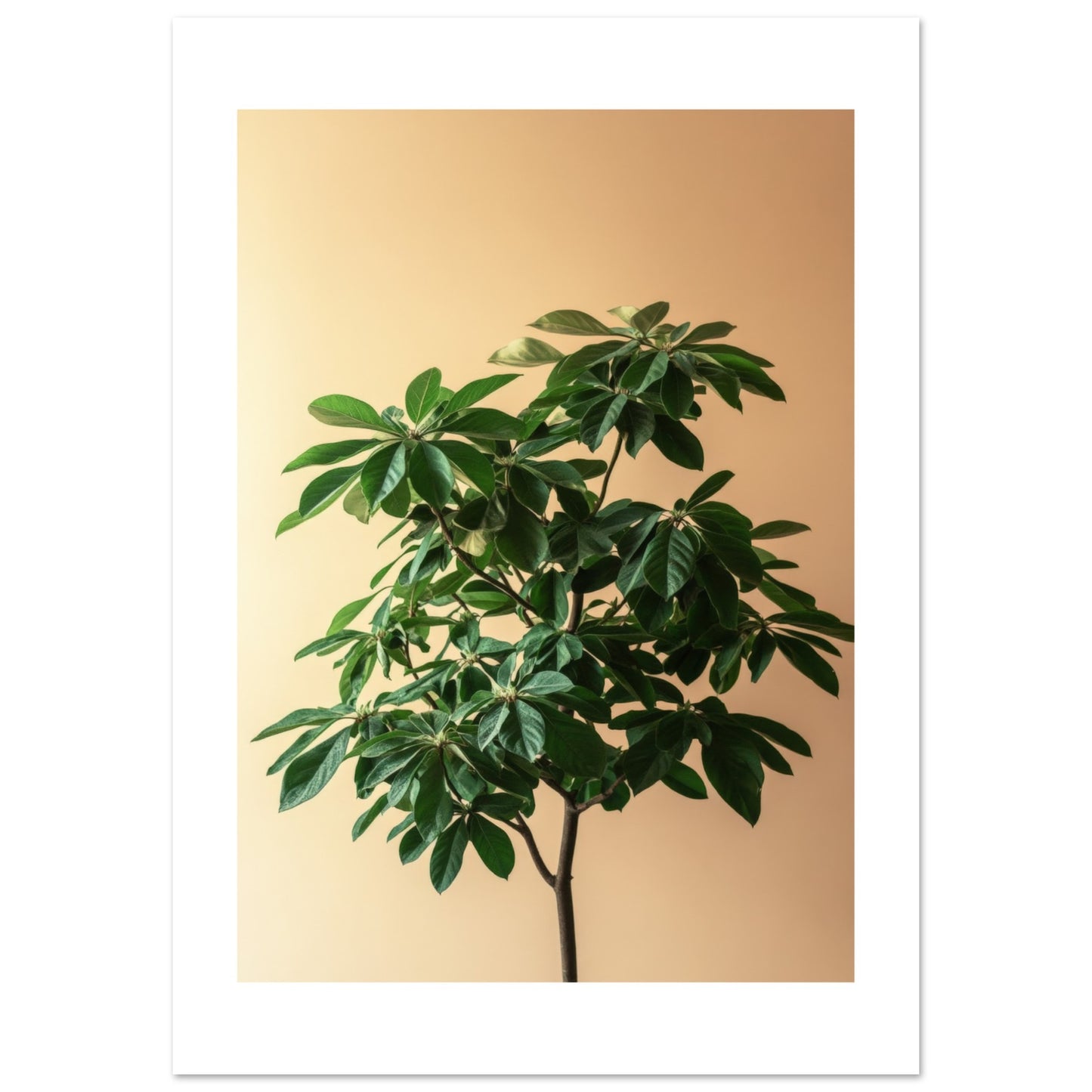 ea19198f-7b2c-4873-9dc5-37ebaa14dd52