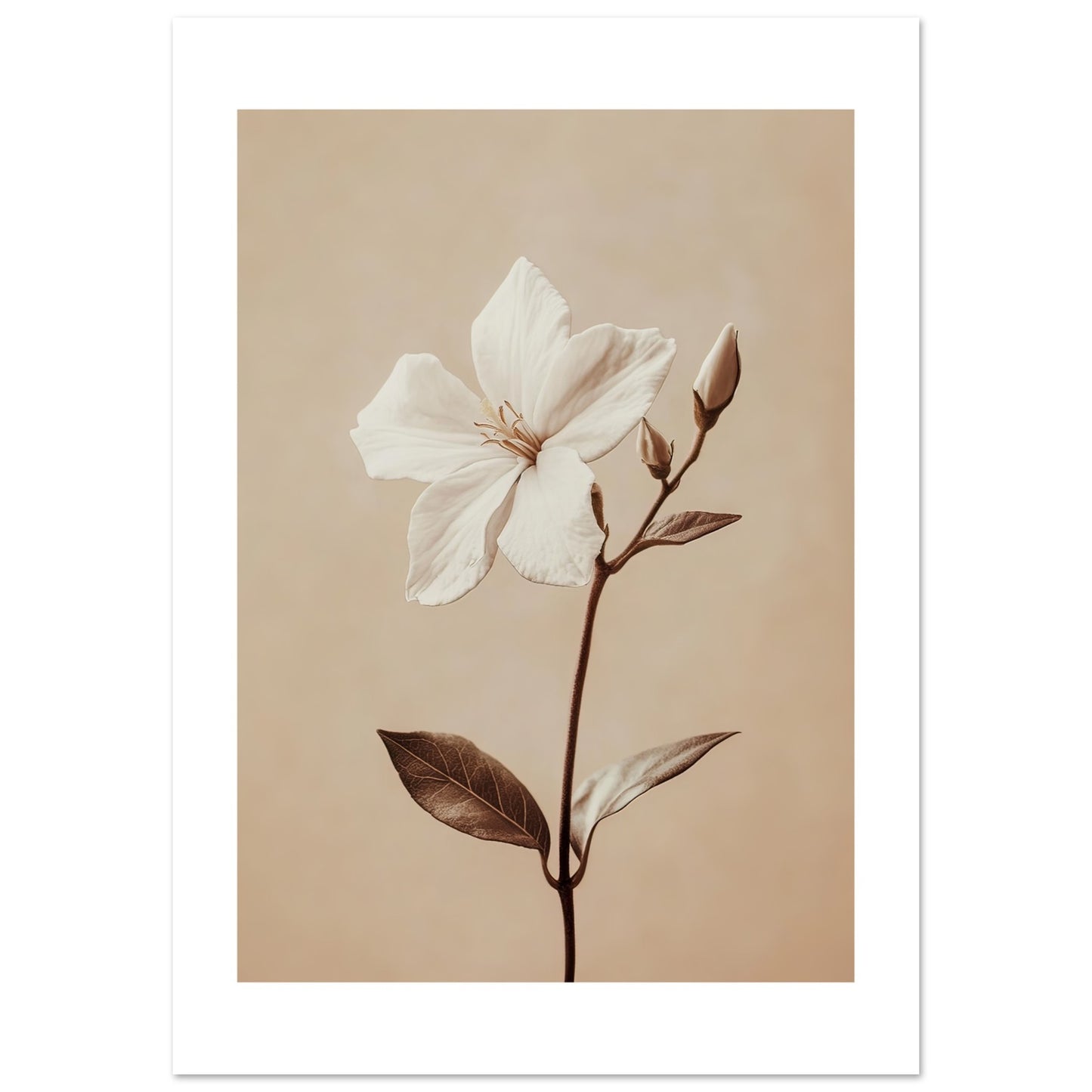 ecf47de1-ed7f-4d67-8e77-021047917db2