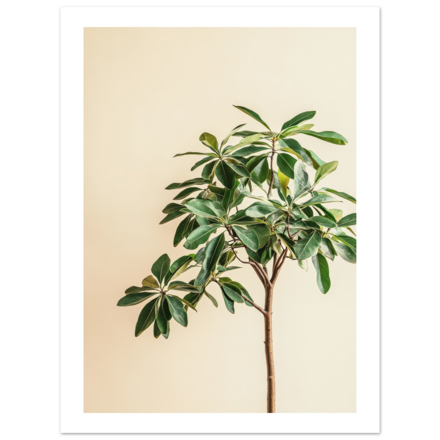 f7eaad51-8ba5-4c52-822b-af71b48b19c3