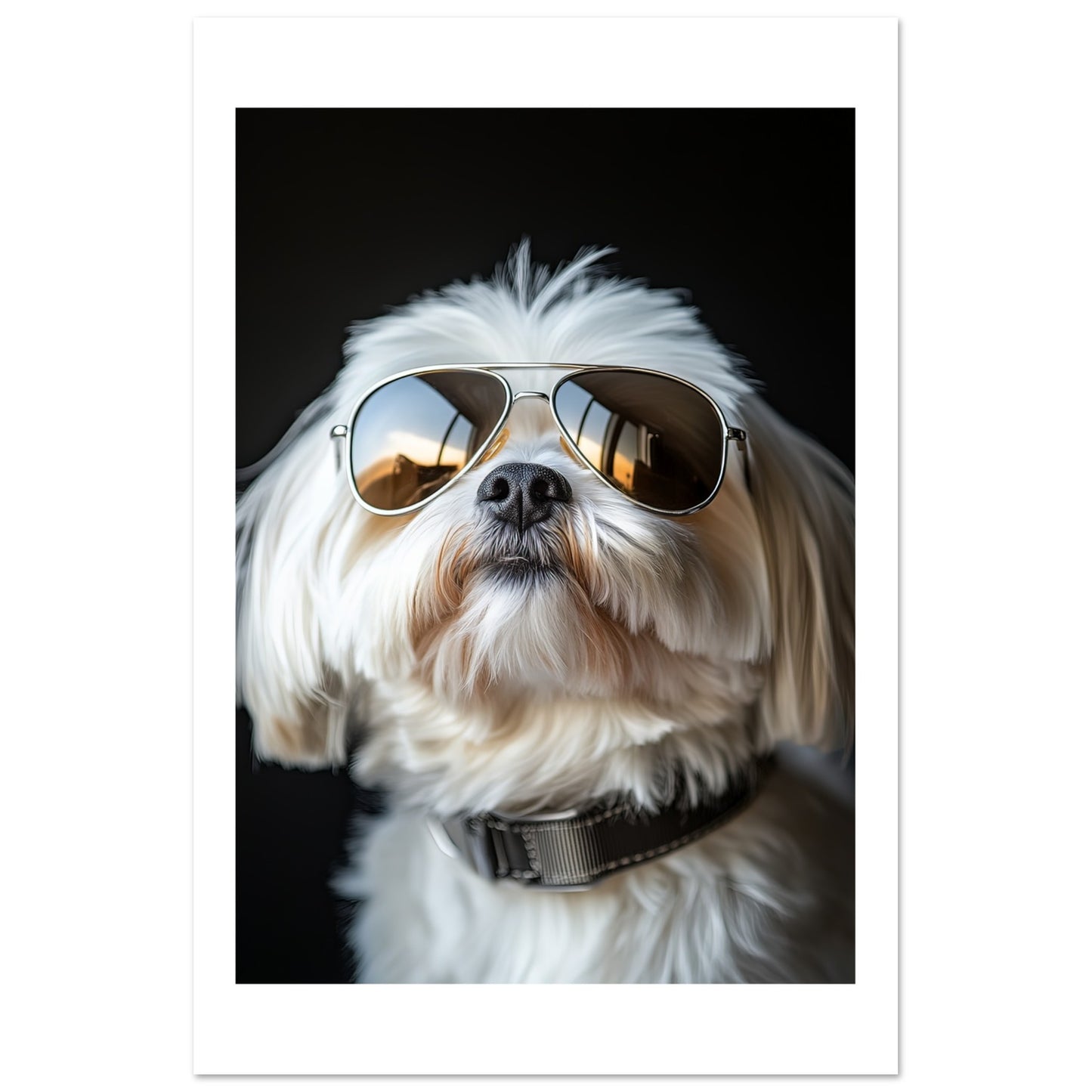 15213f2d-8ac7-4264-843e-78c7844f0a27