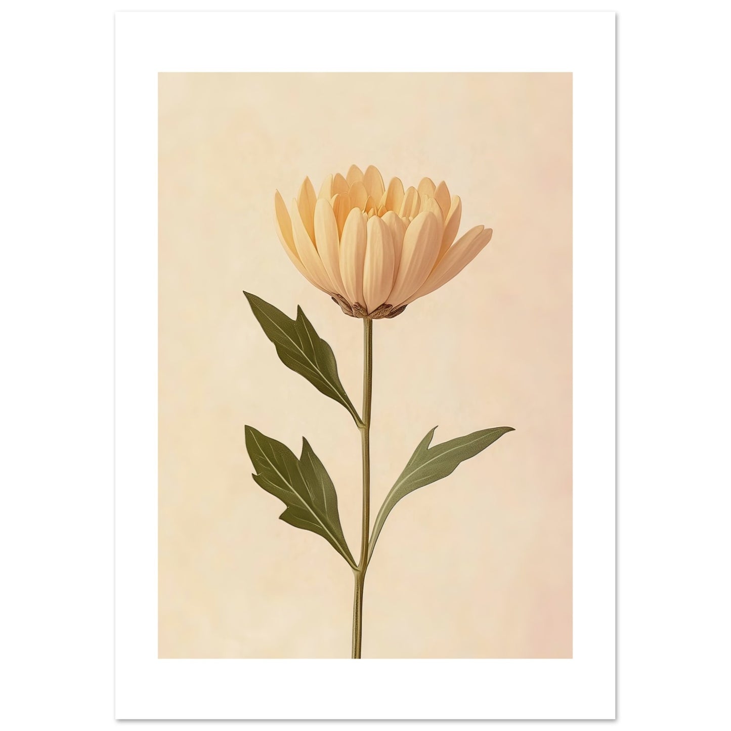 158cc86b-5ad0-45b5-bc71-34bbb3c2243f